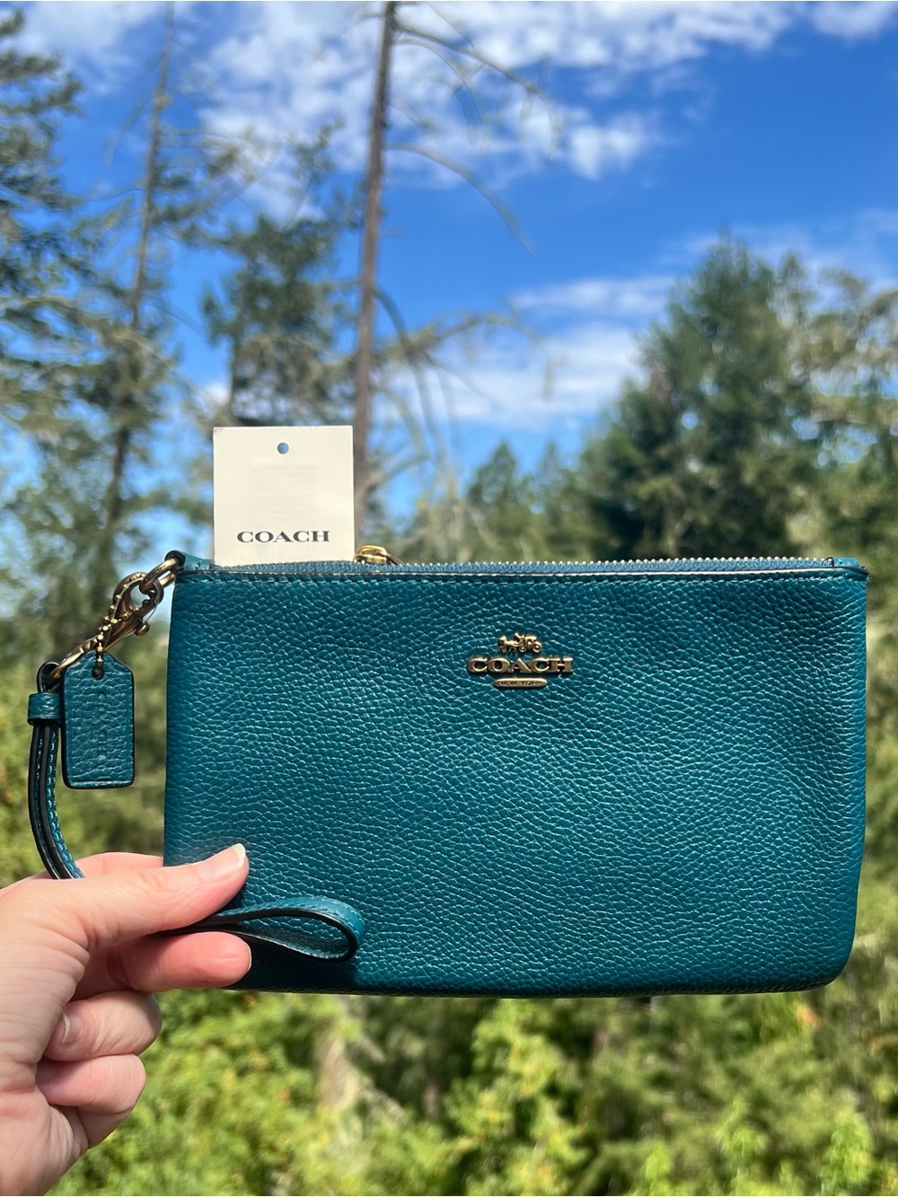 COACH Small Turquoise Pebble Leather Wristlet Wallet Clutch Gold Hardware NWT